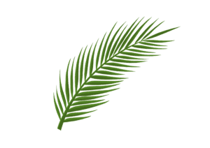 dugnad